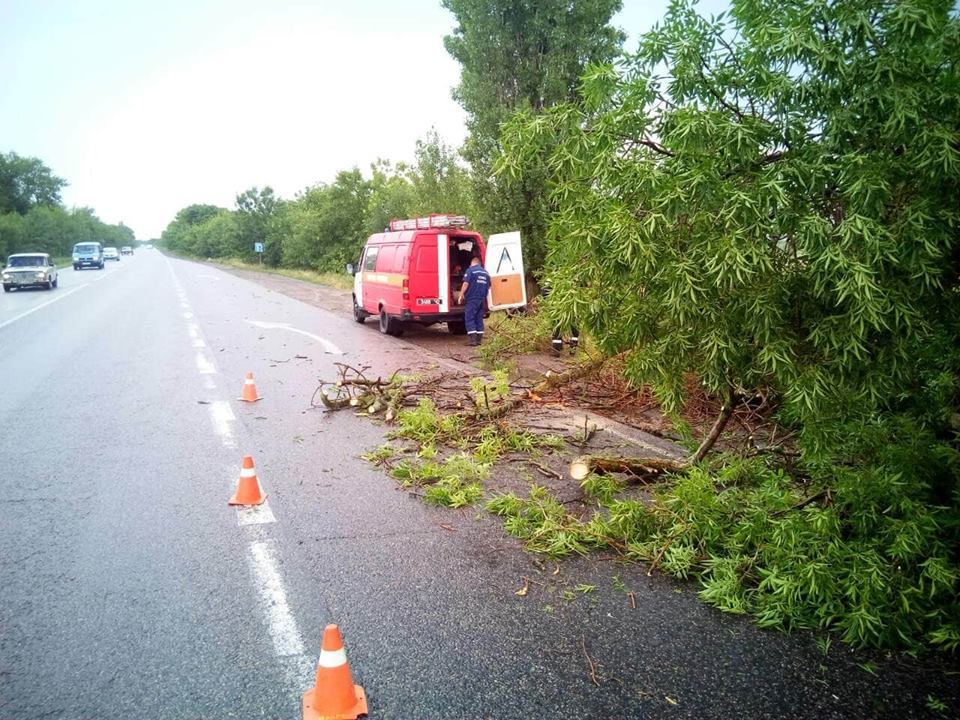 За прошедшие сутки спасатели Николаевщины дважды убирали поваленные непогодой дерева 3