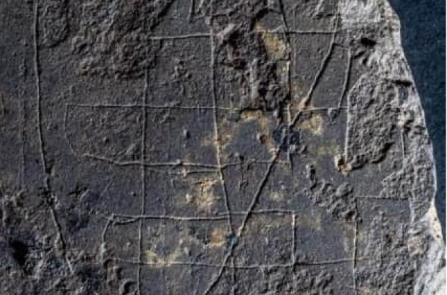 Археологи обнаружили в Шотландию средневековую доску для "шахмат викингов" 1
