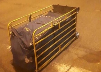 В Киеве грузовик Укрпочты на ходу растерял посылки