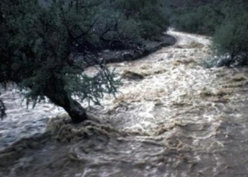 В реках Украины ожидают подъем уровня воды