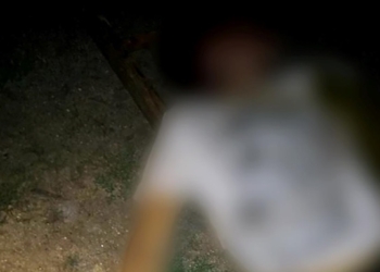 В Балаклее юноша решил повисеть на линии электропередач и погиб