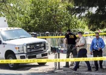 В США четырехлетний ребенок случайно застрелил брата