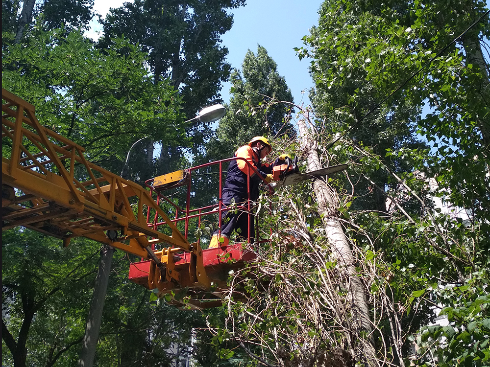 В Николаеве дерево упало на электрические провода – убирали угрозу спасатели 1