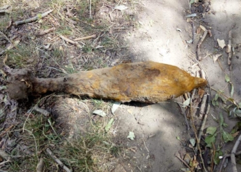 На Николаевщине пиротехники ГСЧС обезвредили минометную мину и ручную гранату