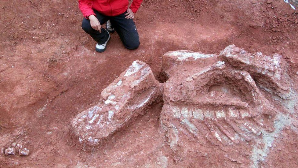 В аргентинской провинции Сан-Хуан были обнаружены останки ранее неизвестного вида динозавров, который получил название Ingenia prima - первый гигант 7