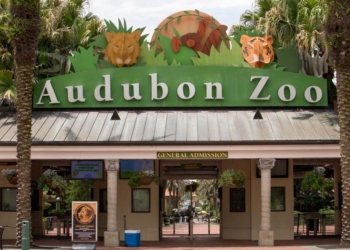 В американском зоопарке из своего вольера сбежал ягуар – за час «прогулки» он убил 6 животных и троих еще ранил