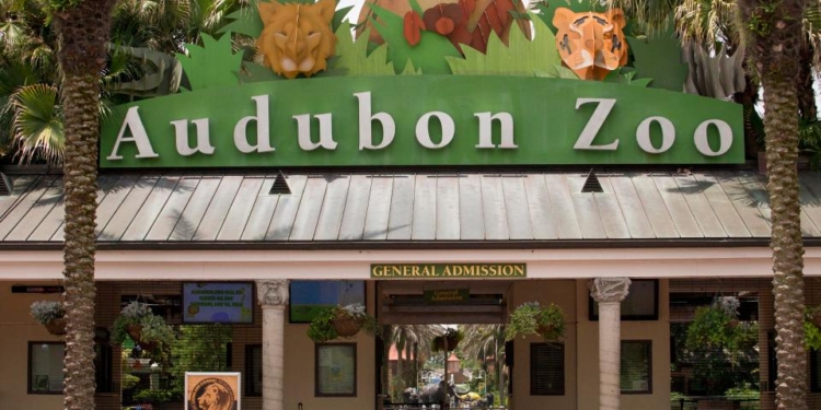 В американском зоопарке из своего вольера сбежал ягуар – за час «прогулки» он убил 6 животных и троих еще ранил