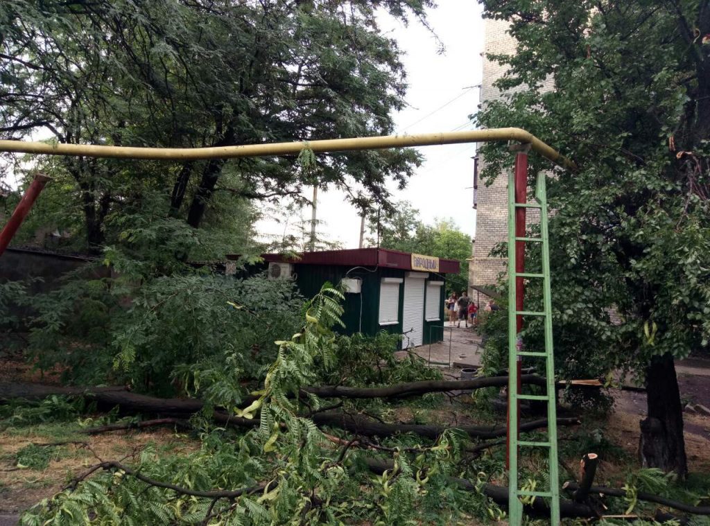 За прошедшие сутки спасатели Николаевщины дважды убирали поваленные непогодой дерева 5