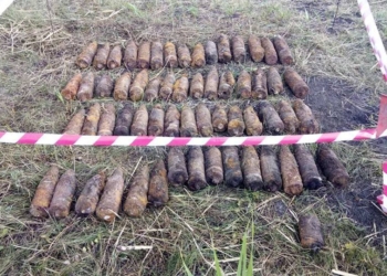 В Казанковском районе Николаевщины обнаружено 60 артиллерийских снарядов