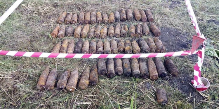 В Казанковском районе Николаевщины обнаружено 60 артиллерийских снарядов