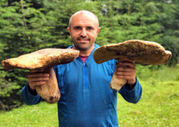 После дождичка. В Карпатах выросли огромные грибы