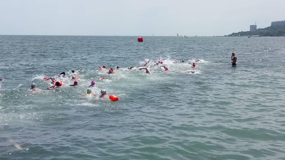 Николаевские пловцы завоевали медали на международном турнире «Черноморская жемчужина» 13