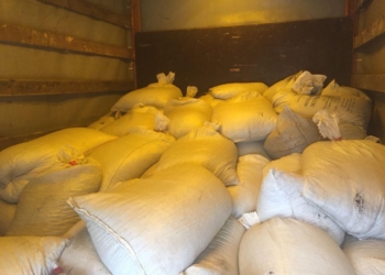 Рекорд: на Житомирщине полицейские после погони задержали машину с двумя тоннами янтаря