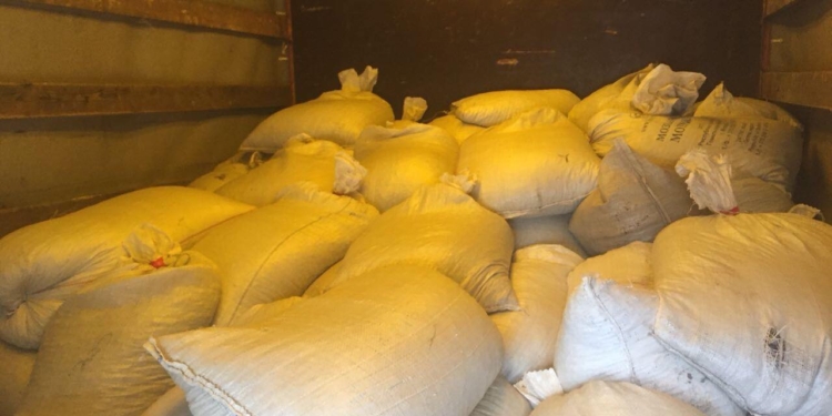 Рекорд: на Житомирщине полицейские после погони задержали машину с двумя тоннами янтаря