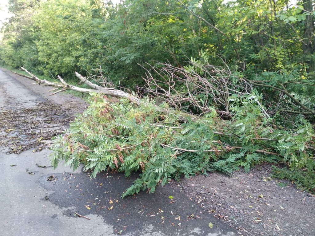Поваленное дерево перекрыло движение трассы Ульяновка - Николаев 1