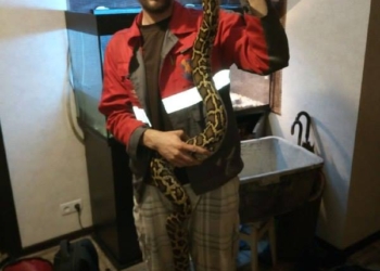 На фонарном столбе в центре Киева прохожий заметил двухметрового питона