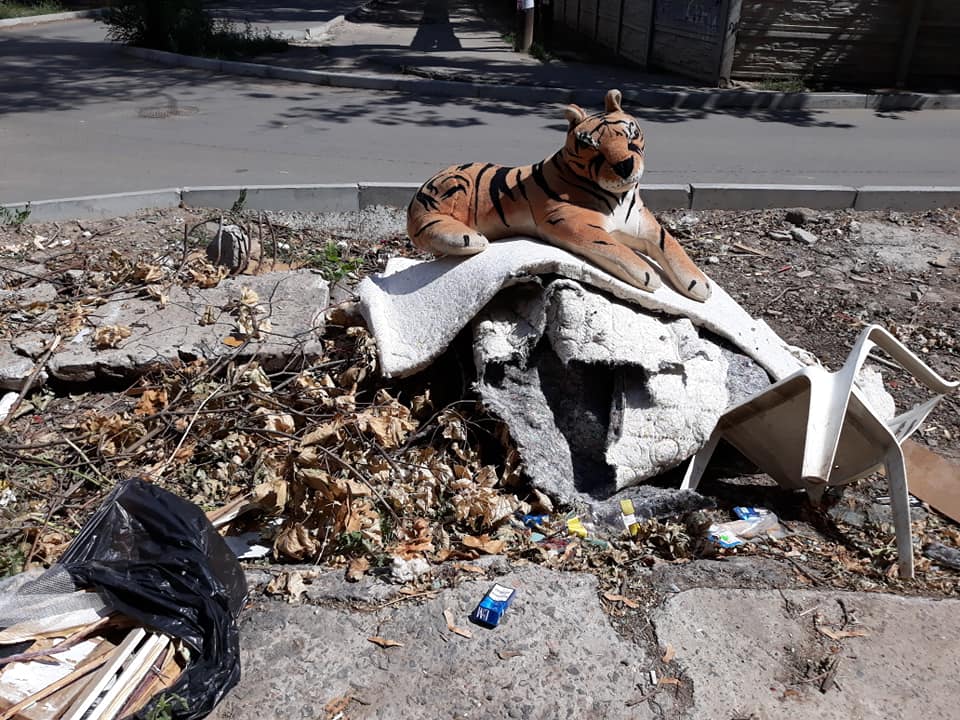Николаевец посоветовал выдать коммунальщикам «пилюли храбрости», чтобы они наконец убрали свалку с игрушечным тигром 9