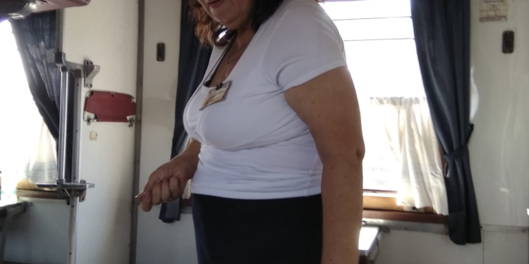 В поезде “Николаев – Ивано-Франковск” разгорелся языковой скандал – проводница отказалась отвечать на украинском и нахамила пассажиру