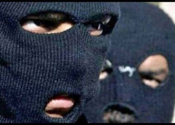 На хозяина дома в Березанке напала банда из 5-6 человек. Злоумышленники избили домочадцев и похитили все ценное