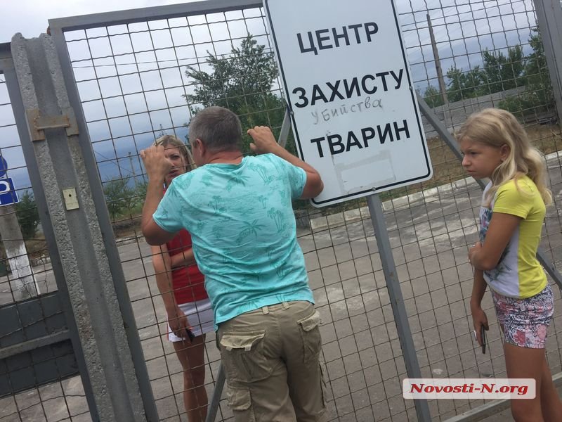 Радикально настроенные активисты обсуждали рейдерский захват «Центра защиты животных» в Николаеве - СМИ 3