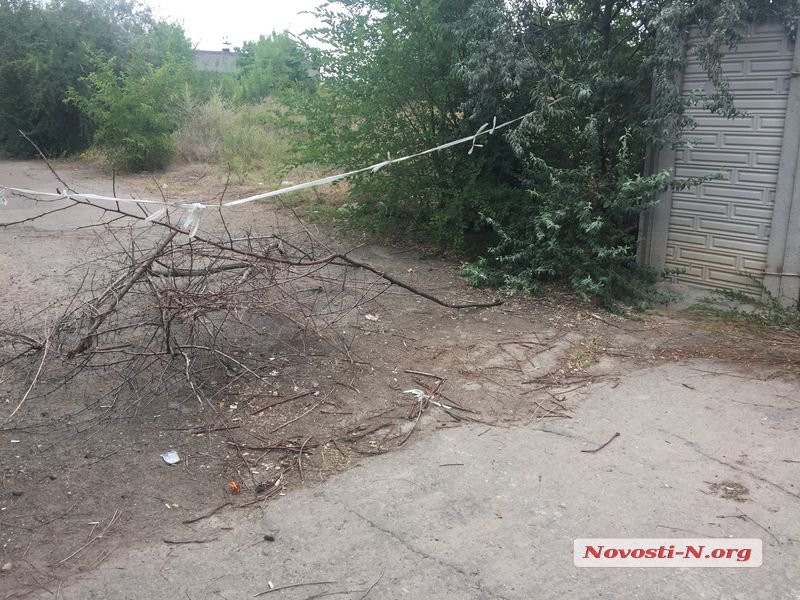 Радикально настроенные активисты обсуждали рейдерский захват «Центра защиты животных» в Николаеве - СМИ 5