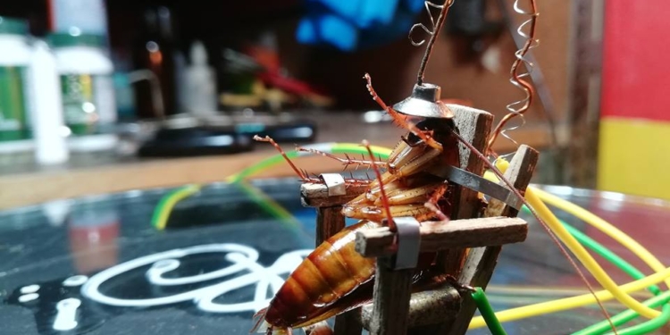 Чтобы умертвить таракана, живущий на Филиппинах скульптор создал специальный электрический стул