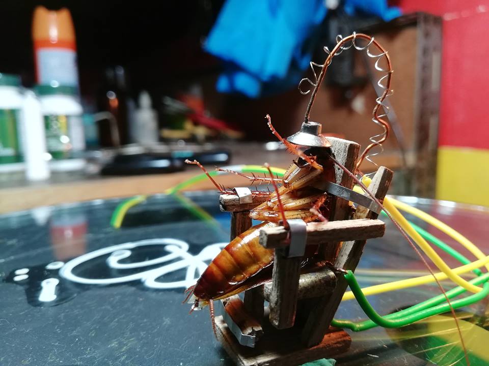 Чтобы умертвить таракана, живущий на Филиппинах скульптор создал специальный электрический стул 7
