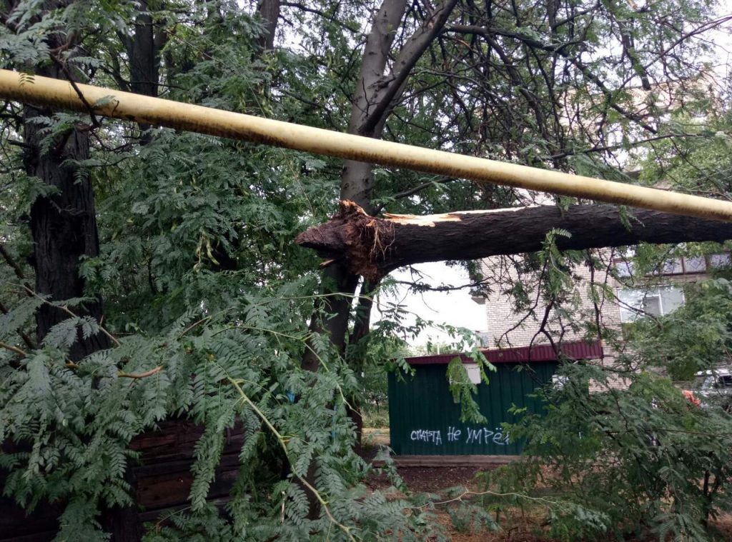 За прошедшие сутки спасатели Николаевщины дважды убирали поваленные непогодой дерева 7