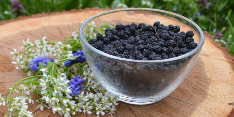 Запах какао, вкус – ореховый. В Николаевской области производят уникальный продукт – черемуховую муку