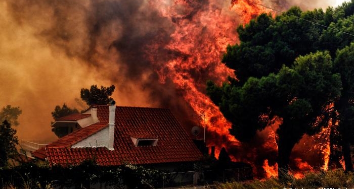 В результате масштабных пожаров в Греции погибло уже как минимум 88 человек