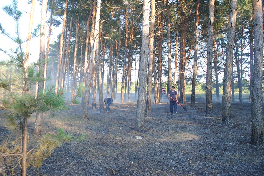 Под Николаевом снова подожгли Матвеевский лес, а в Очаковском районе – стерню на поле 9