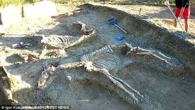 В Казахстане археологи нашли диковинное 5000-летнее захоронение: мужчина и женщина – рядом с колесницей и двумя лошадьми 11