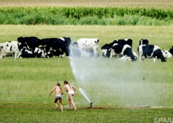 Июль побил 118 температурных рекордов по всему миру