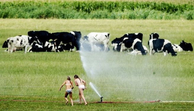 Июль побил 118 температурных рекордов по всему миру