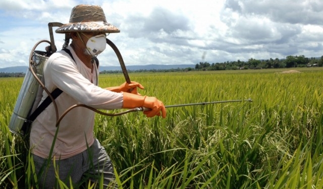 На Николаевщине насчитывается 166 тонн просроченных пестицидов, для их утилизации нужно 4 миллиона