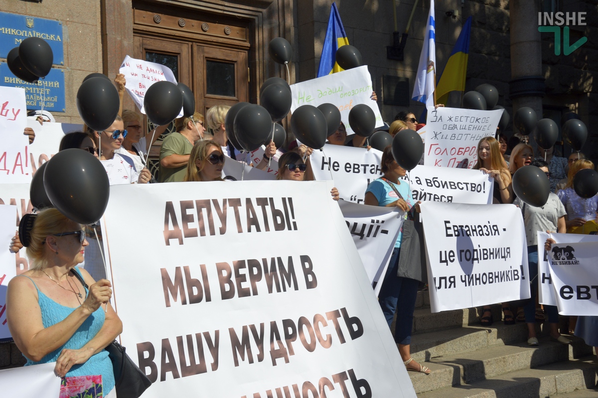 “Депутаты! Мы верим в вашу мудрость”: в Николаеве горожане выступили против эвтаназии собак