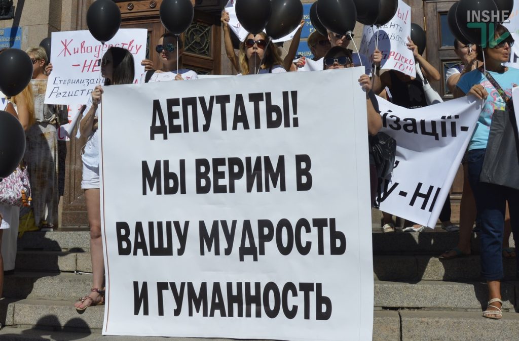 "Депутаты! Мы верим в вашу мудрость": в Николаеве горожане выступили против эвтаназии собак 14