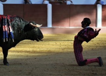 Кровавая коррида. Бык снял скальп с матадора (18+)