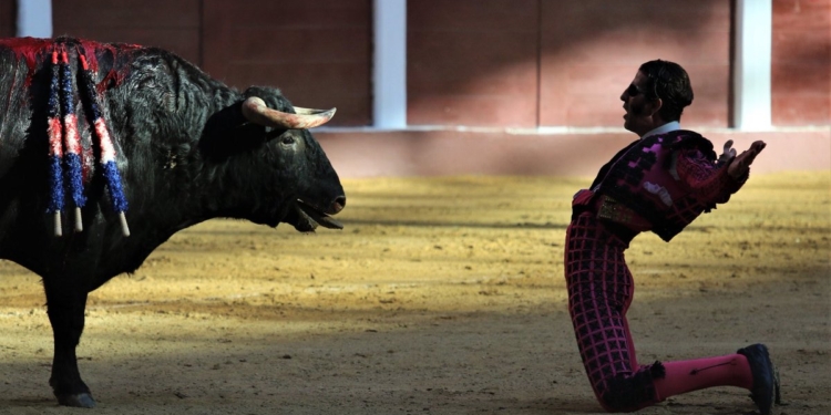 Кровавая коррида. Бык снял скальп с матадора (18+)