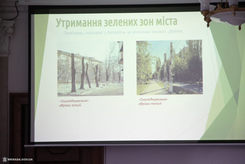 «Ситуация критическая, если не сказать еще хуже»: мэр Николаева недоволен уходом за зеленым хозяйством города 9