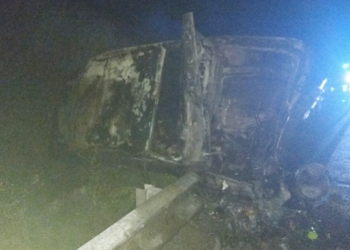 На Николаевщине спасатели потушили загоревшийся в ДТП автомобиль