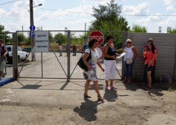 «Я теперь их враг №1» – Голобродский рассказал об отношениях с оппонентами и показал, как сейчас работает «Центр защиты животных» в Николаеве