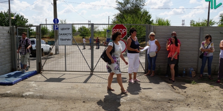 «Я теперь их враг №1» – Голобродский рассказал об отношениях с оппонентами и показал, как сейчас работает «Центр защиты животных» в Николаеве