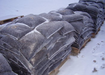 Сенкевич поручил Департаменту ЖКХ закупить холодный асфальт