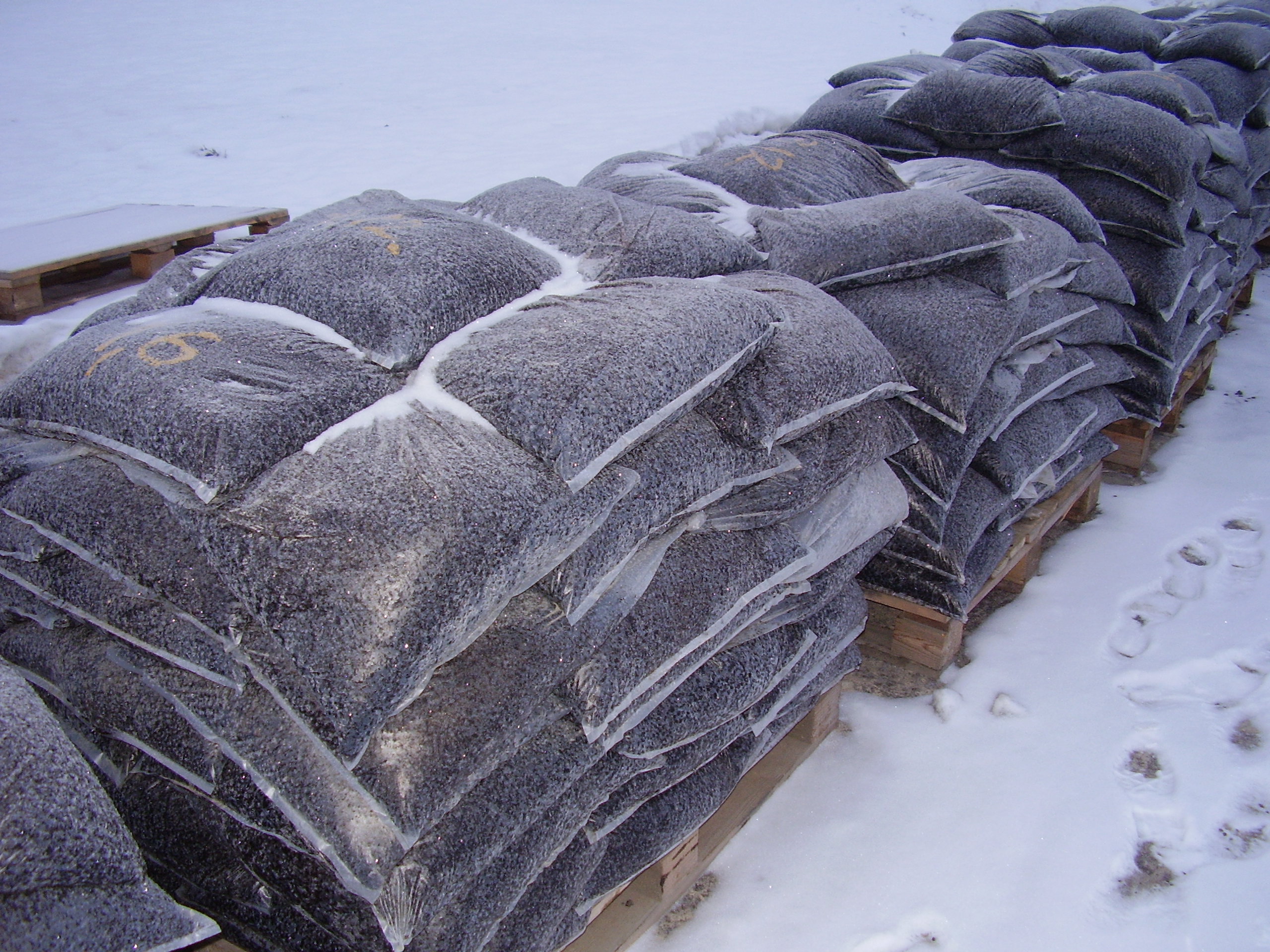 Сенкевич поручил Департаменту ЖКХ закупить холодный асфальт