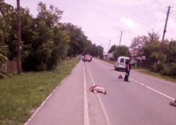 На Львовщине пьяный депутат сбил насмерть велосипедистку