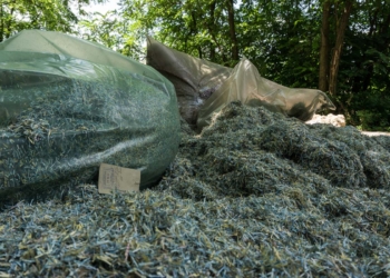 В Днепропетровской области нашли “свалку гривен”