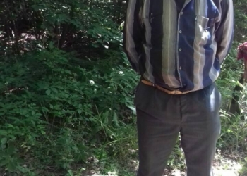 В Чернобыльской зоне задержали мужчину с 12 кг радиоактивной черники