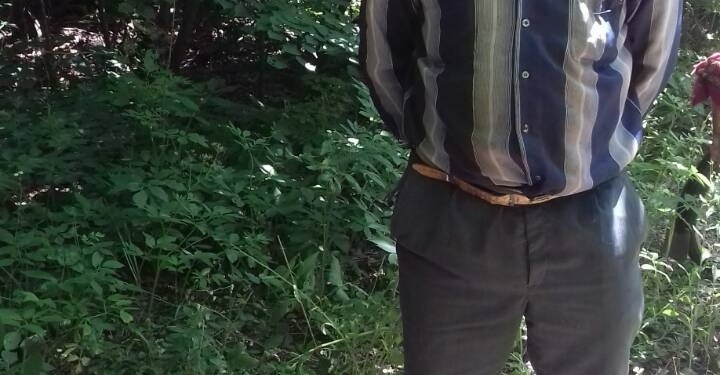 В Чернобыльской зоне задержали мужчину с 12 кг радиоактивной черники