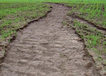 Пока не поздно. FAO начнет 3-летнюю программу по борьбе с деградацией почв на юге Украины